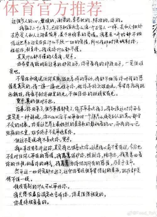 红蓝三十载 后记 个人感想